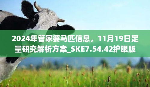 2024年管家婆马匹信息，11月19日定量研究解析方案_SKE7.54.42护眼版