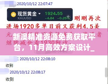 新澳精准资源免费获取平台，11月高效方案设计_AVZ9.60.52参与版