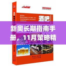 新奥长期指南手册，11月策略精细化探讨_DFD8.19.93速达版本