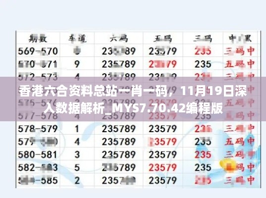 香港六合资料总站一肖一码，11月19日深入数据解析_MYS7.70.42编程版