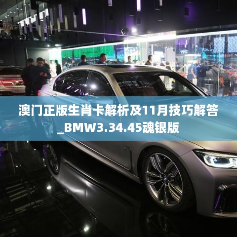 澳门正版生肖卡解析及11月技巧解答_BMW3.34.45魂银版