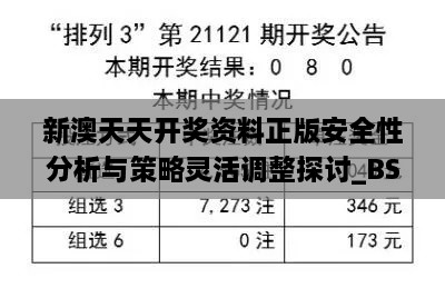 新澳天天开奖资料正版安全性分析与策略灵活调整探讨_BSI2.46.45定制版