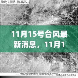 11月15号台风最新动态及多方观点与个人立场解析