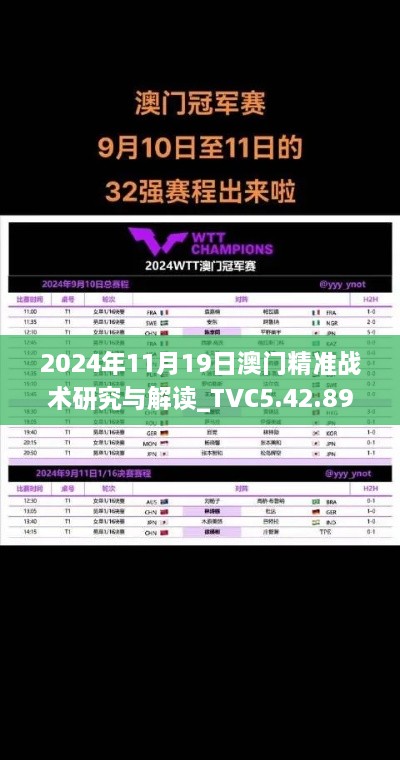 2024年11月19日澳门精准战术研究与解读_TVC5.42.89结合版