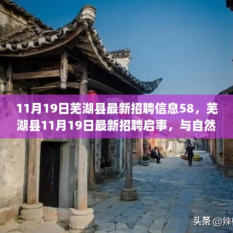 芜湖县最新招聘启事，与自然美景同行，寻找宁静之旅（11月19日）