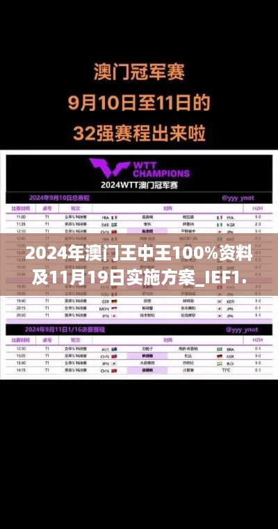 2024年澳门王中王100%资料及11月19日实施方案_IEF1.61.59自定义版本