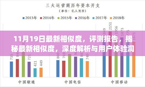 11月19日最新相似度评测报告，深度解析、用户体验洞察与揭秘