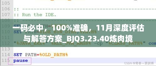 一码必中，100%准确，11月深度评估与解答方案_BJQ3.23.40炼肉境