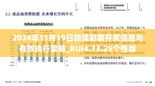 2024年11月19日新澳彩票开奖信息与有效执行策略_BUI4.73.29个性版