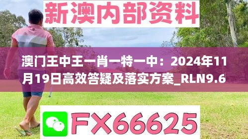 澳门王中王一肖一特一中：2024年11月19日高效答疑及落实方案_RLN9.63.44强化版