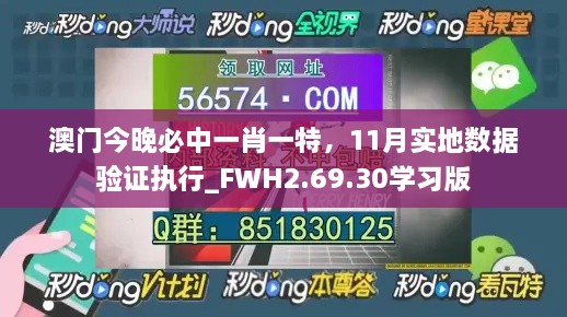 澳门今晚必中一肖一特，11月实地数据验证执行_FWH2.69.30学习版