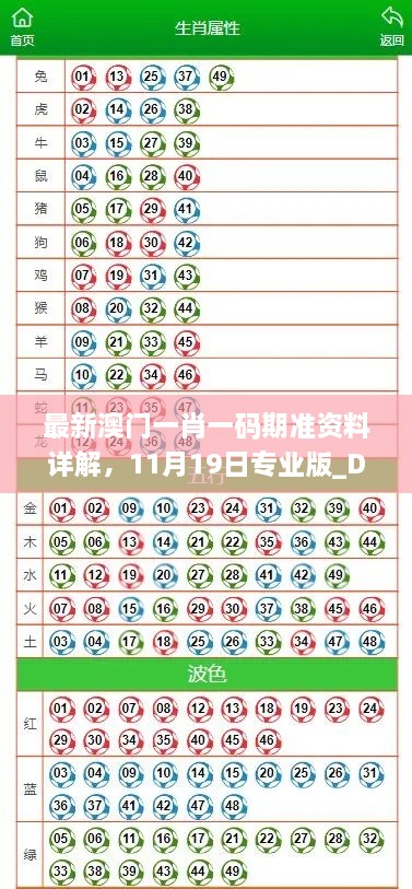 最新澳门一肖一码期准资料详解，11月19日专业版_DUL4.62.71