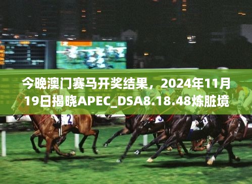 今晚澳门赛马开奖结果，2024年11月19日揭晓APEC_DSA8.18.48炼脏境内幕