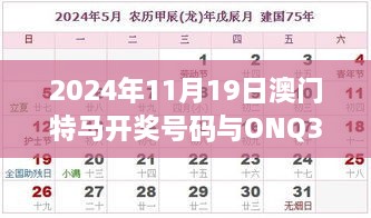 2024年11月19日澳门特马开奖号码与ONQ3.80.46定制版快速调整方案分析