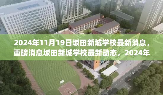 坂田新城学校最新动态，2024年全新升级启航，重磅消息揭秘