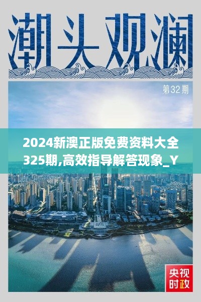 2024新澳正版免费资料大全325期,高效指导解答现象_YBR5.31.40精华版