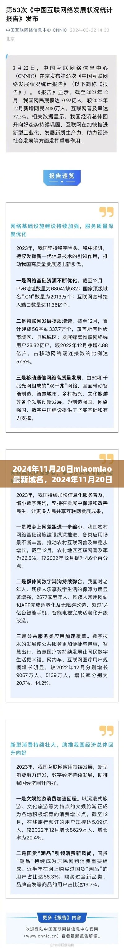 探索未来网络新领地，Miaomiao最新域名发布在2024年11月20日