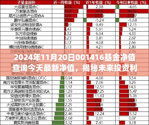 揭秘智能净值宝，最新基金净值查询与未来投资利器，今日基金净值触手可及（2024年11月20日）