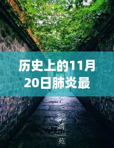 2024年11月 第204页