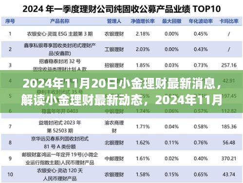 小金理财最新动态解读，机遇与挑战并存，2024年11月20日最新消息揭秘