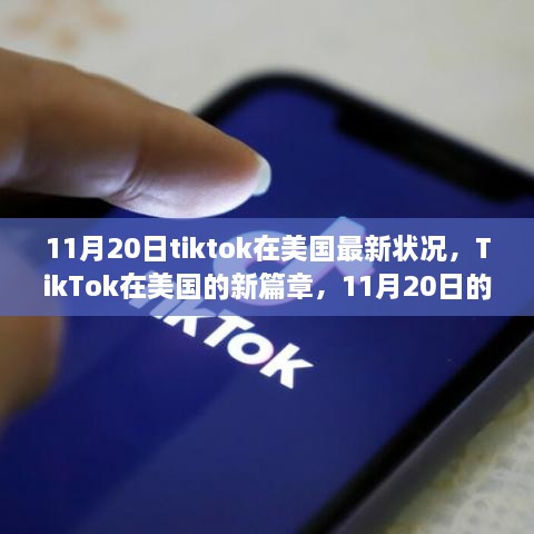 TikTok在美国的新篇章，11月20日最新动态与自信的力量