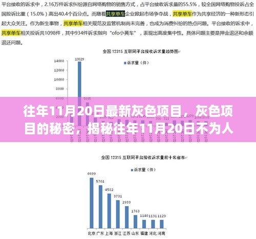 2024年11月 第202页