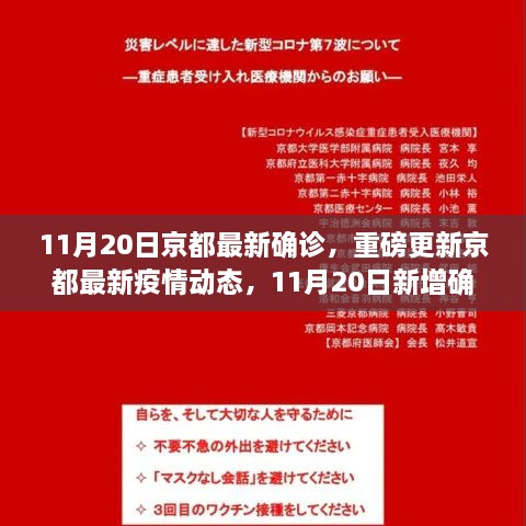 京都最新疫情动态，11月20日新增确诊病例详探