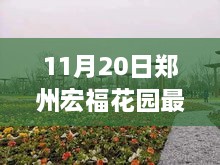 郑州宏福花园最新消息揭秘，自然美景探索之旅开启