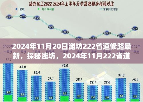 探秘潍坊，揭秘2024年11月潍坊222省道修路新貌下的巷弄秘境