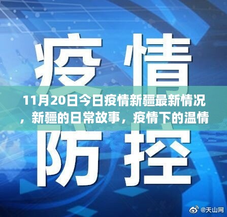 新疆疫情最新动态，日常故事中的温情与陪伴