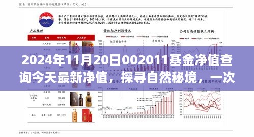 探寻自然秘境之旅，心灵净化与基金净值查询的双重体验——以今日最新002011基金净值查询为引