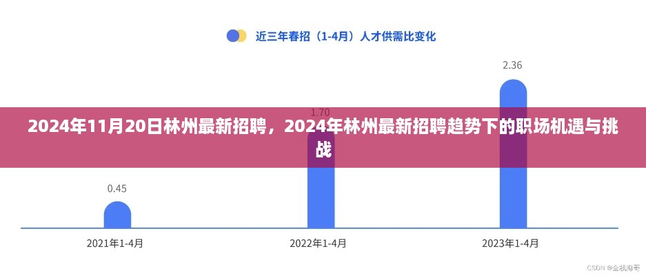 2024年林州最新招聘趋势下的职场机遇与挑战