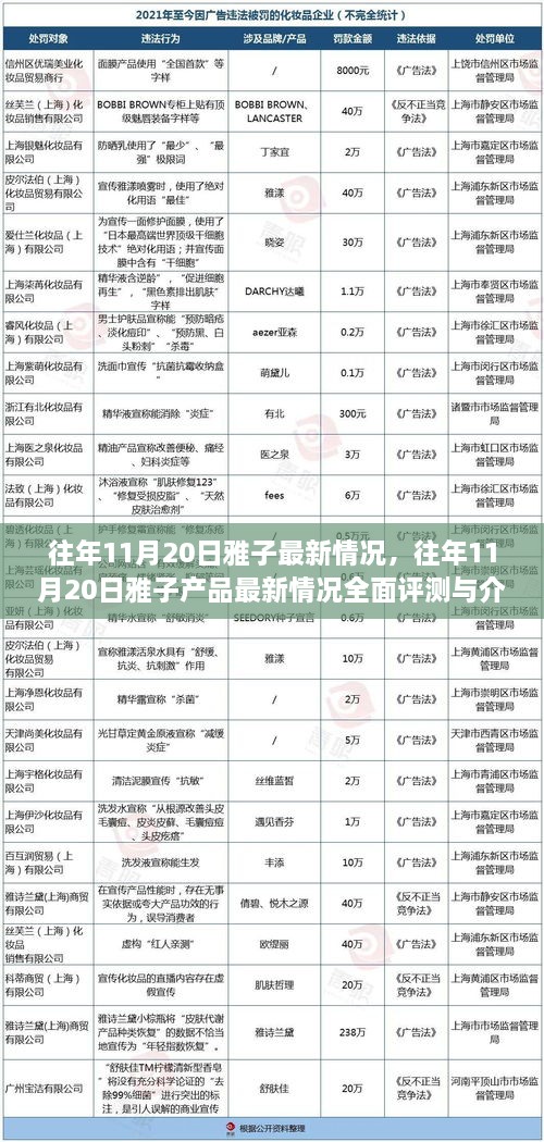 往年11月20日雅子产品及最新评测全面介绍