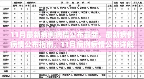 11月最新病例病情公布详解与指南