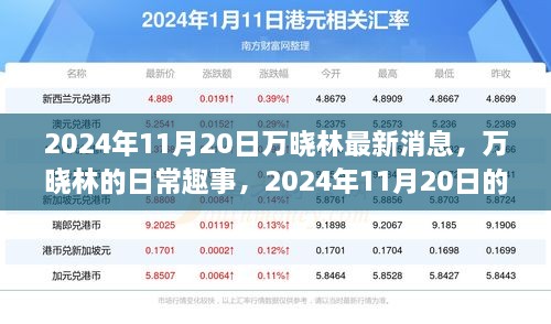 万晓林2024年11月20日最新消息与温馨日常趣事