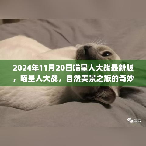 喵星人大战最新版，自然美景之旅的奇妙启程（2024年11月20日）