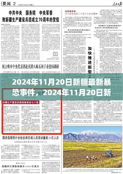 2024年11月20日新疆最新暴恐事件，2024年11月20日新疆最新暴恐事件全面解析