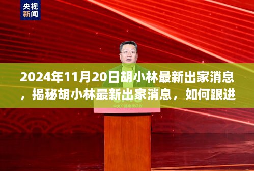 2024年11月20日胡小林最新出家消息，揭秘胡小林最新出家消息，如何跟进并理解他的精神之旅（初学者与进阶用户指南）