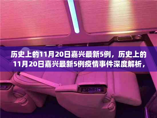 历史上的11月20日嘉兴疫情深度解析，最新事件、观点反思与疫情事件深度探讨