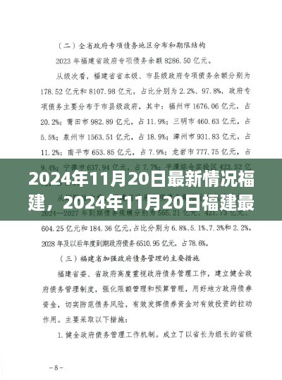 2024年11月20日福建最新情况全面更新