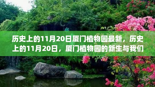 厦门植物园新生与成长之路，历史上的11月20日回顾与展望