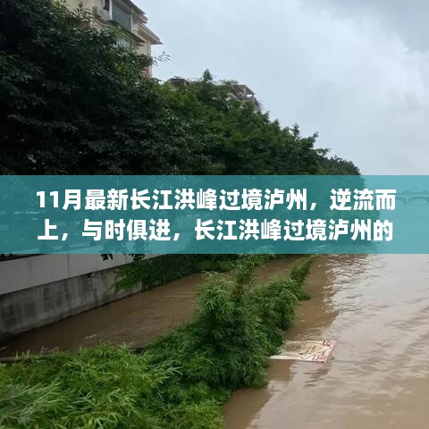 长江洪峰过境泸州的逆流而上与时代精神的励志篇章