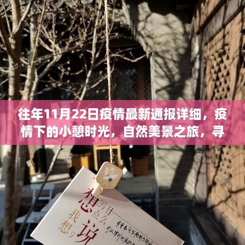 疫情下的憩息时光，自然美景之旅与内心的宁静与平和探寻