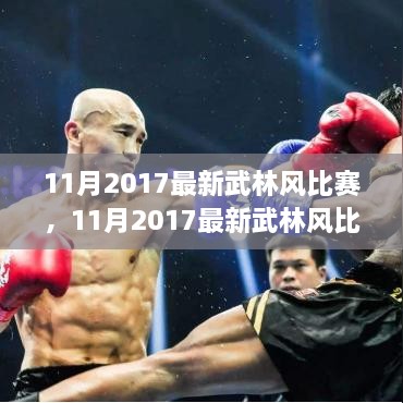 热血格斗盛宴，武林风比赛震撼瞬间回顾