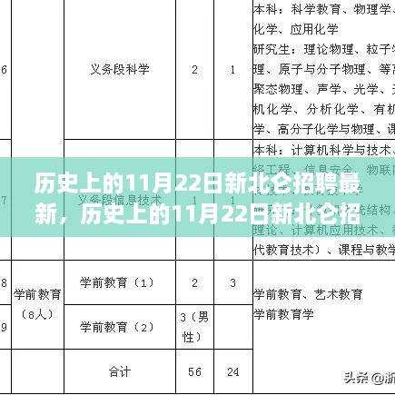 2024年11月 第175页