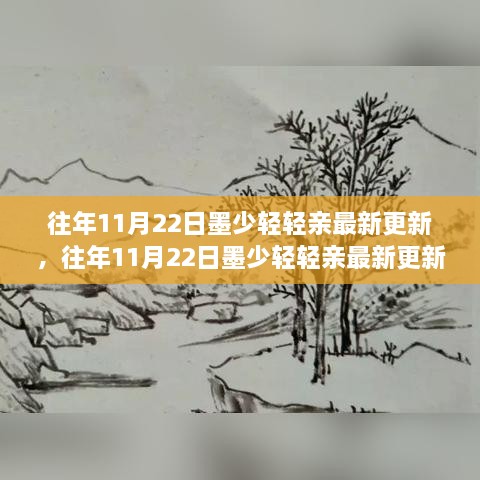 往年11月22日墨少轻轻亲最新更新及其操作指南，初学者与进阶用户必读