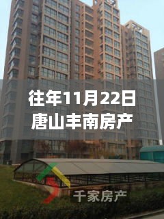 探秘唐山丰南房产新秘境，独特风情楼盘与隐藏宝藏小店，历年11月22日最新楼盘概览