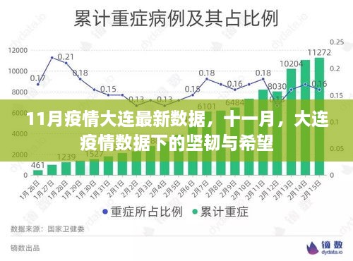 11月大连疫情最新数据，坚韧与希望的交织