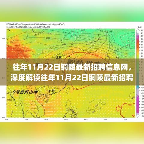 2024年11月 第161页