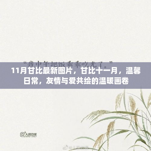 甘比温馨日常，友情与爱共绘的温暖画卷十一月最新图片